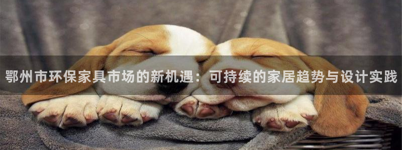 杏宇注册登录代理：鄂州市环保家具市场的新机遇：可持续的家居趋