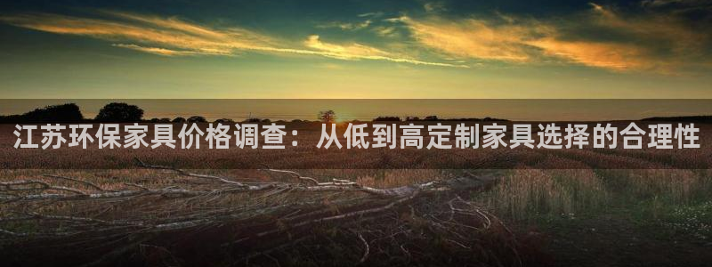 杏宇平台代理