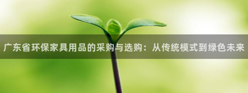 杏宇平台注册地址：广东省环保家具用品的采购与选购：从传统模式