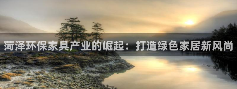 杏宇平台网站是什么