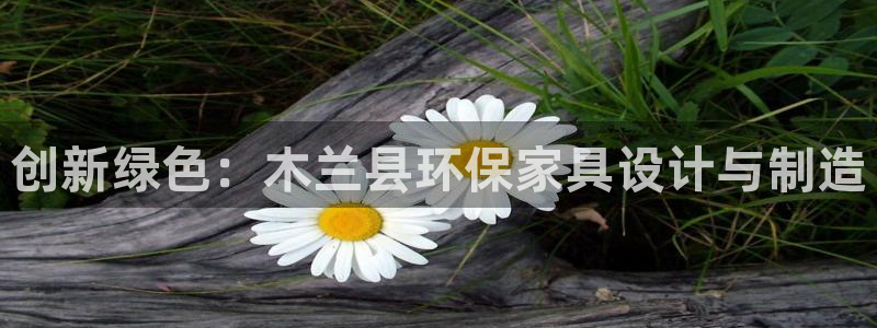 杏宇总代理