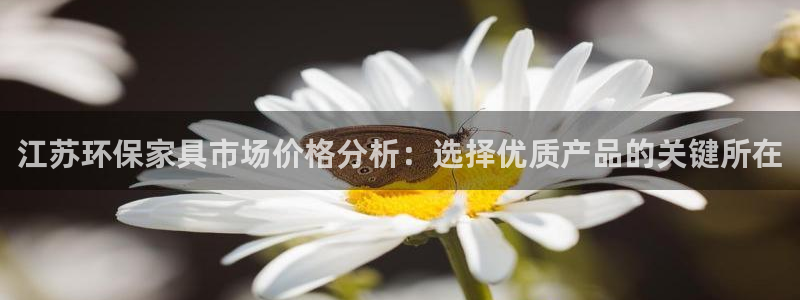 杏宇平台测速登录：江苏环保家具市场价格分析：选择优质产品的关