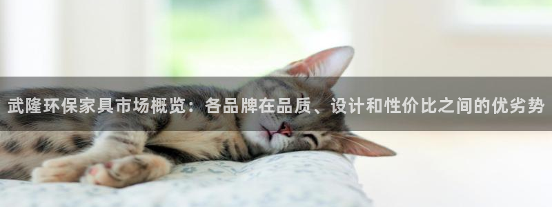 杏宇平台代理登录网址查询：武隆环保家具市场概览：各品牌在品质